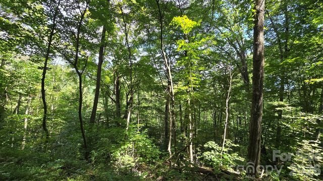 310 High Cliff Drive, Waynesville, NC 28786