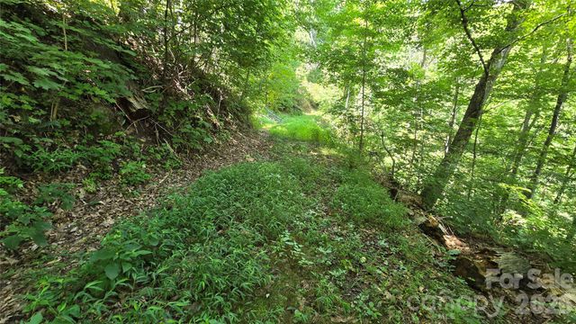 310 High Cliff Drive, Waynesville, NC 28786