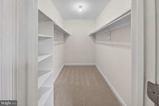 21152 HEDGEROW TER, Ashburn, VA 20147