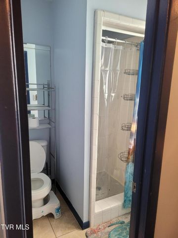 428 Merman Road, Kingsport, TN 37663