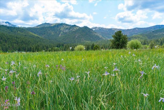 16400 Logan Meadow Lane, Reno, NV 89511