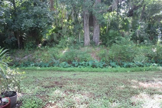 544 TALL OAKS TERRACE, Longwood, FL 32750