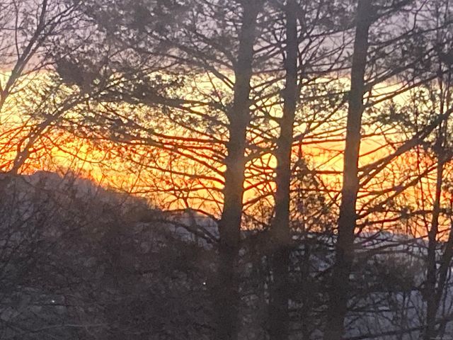 24 Maynard Avenue, Waterbury, CT 06708