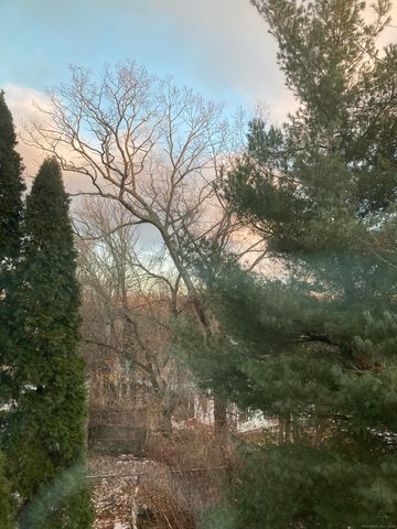 24 Maynard Avenue, Waterbury, CT 06708