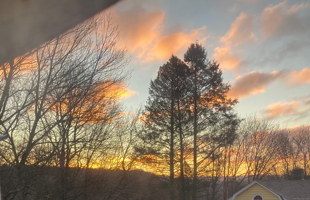 24 Maynard Avenue, Waterbury, CT 06708