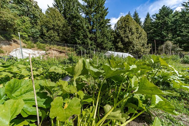 2660 Titlow Hill Road, Titlow Hill, CA 95525