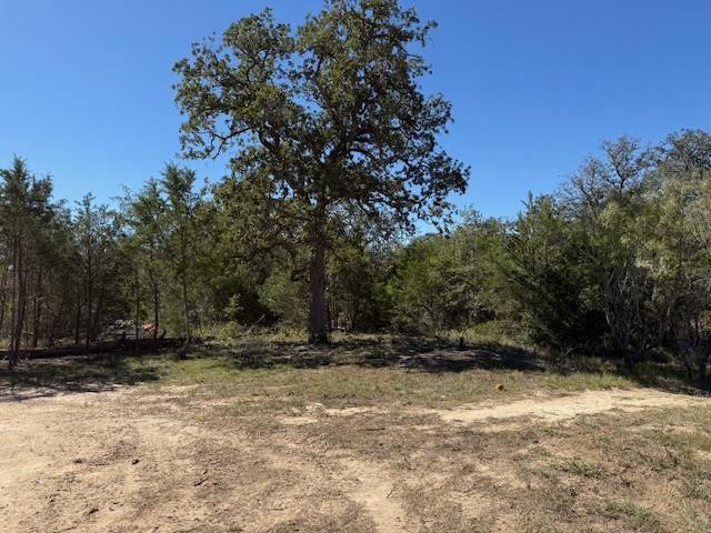 3.9 Acres Synergy DR, Bastrop, TX 78602