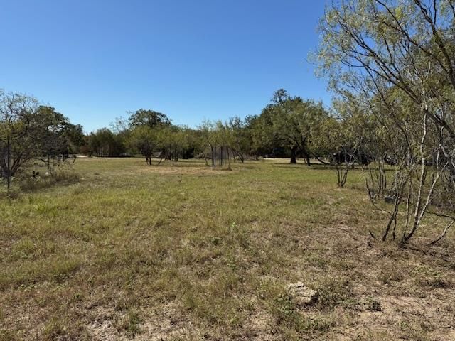 3.9 Acres Synergy DR, Bastrop, TX 78602