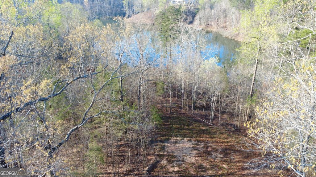 0 Purvis Road, Baldwin, GA 30511 — exterior