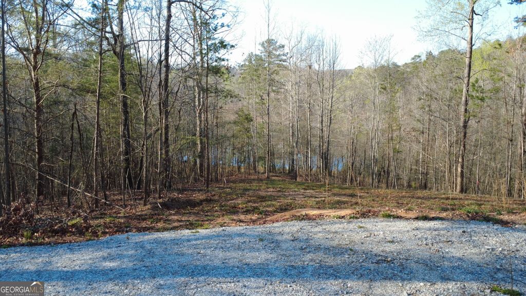 0 Purvis Road, Baldwin, GA 30511 — photo 2