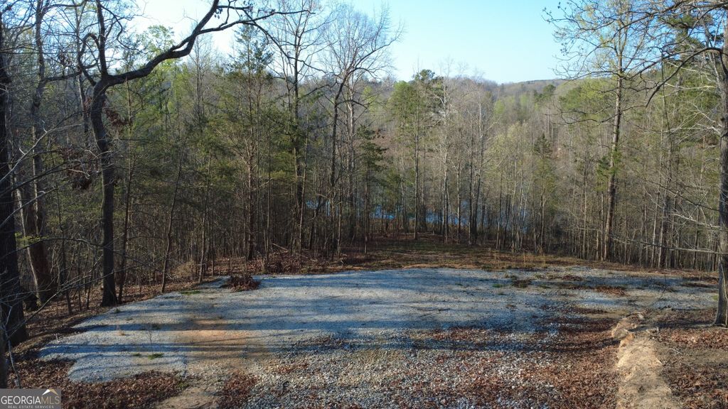 0 Purvis Road, Baldwin, GA 30511 — photo 4