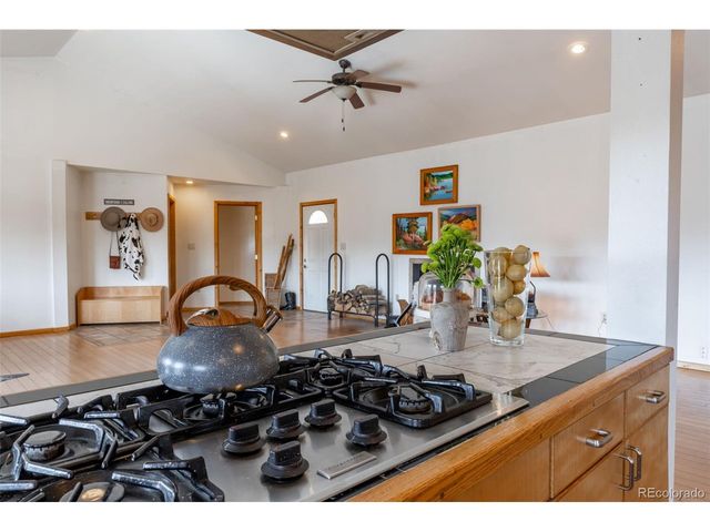 57 Angel Wings, Guffey, CO 80820