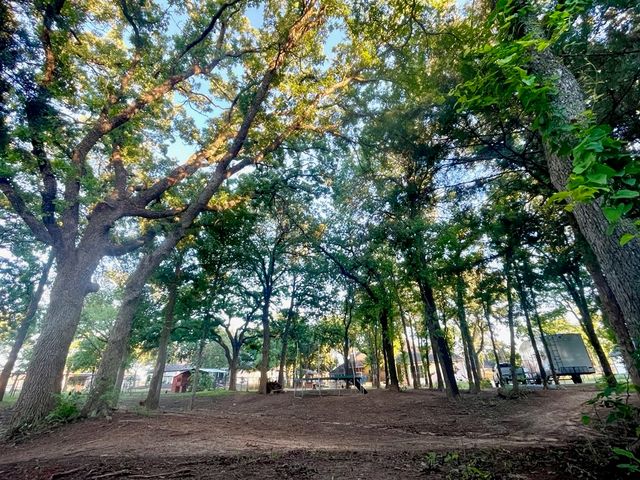 1100 Horizon Trace Drive, Azle, TX 76020