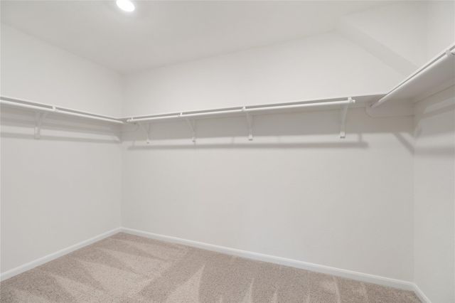 14627 Monterey Cypress Drive, Houston, TX 77068