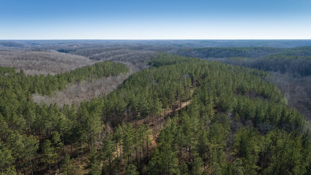 0 Mayfield Divide Rd, Centerville, TN 37033