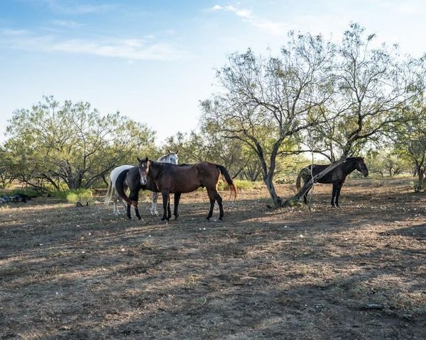 1096 County Road 447, Waelder, TX 78959