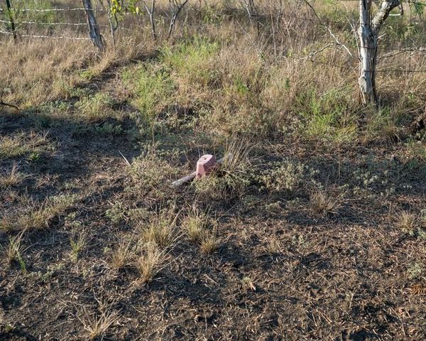 1096 County Road 447, Waelder, TX 78959