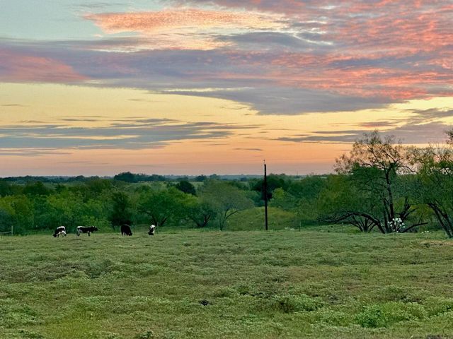 1096 County Road 447, Waelder, TX 78959