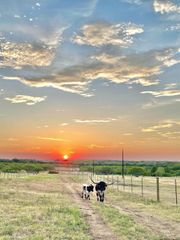 1096 County Road 447, Waelder, TX 78959