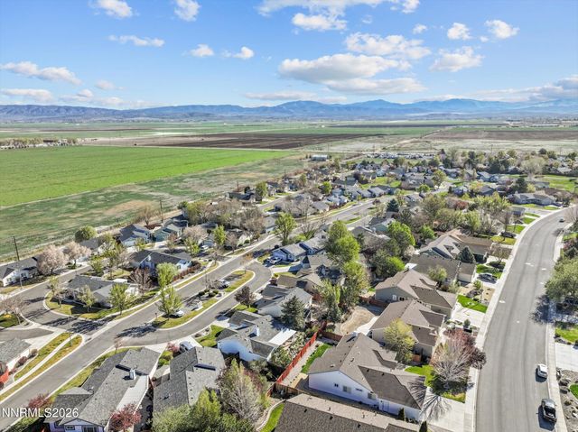 1089 Conifer Drive, Minden, NV 89423