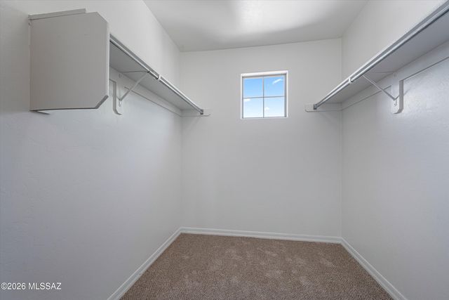 10434 S Painted Mare, Vail, AZ 85641