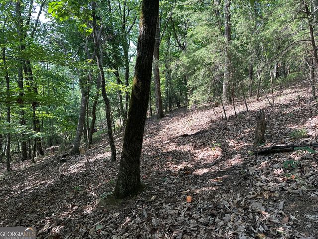 0 Mountain Sweet, Clarkesville, GA 30523