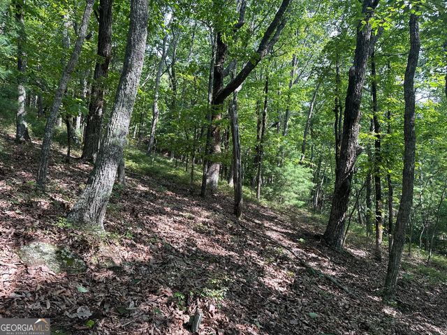 0 Mountain Sweet, Clarkesville, GA 30523