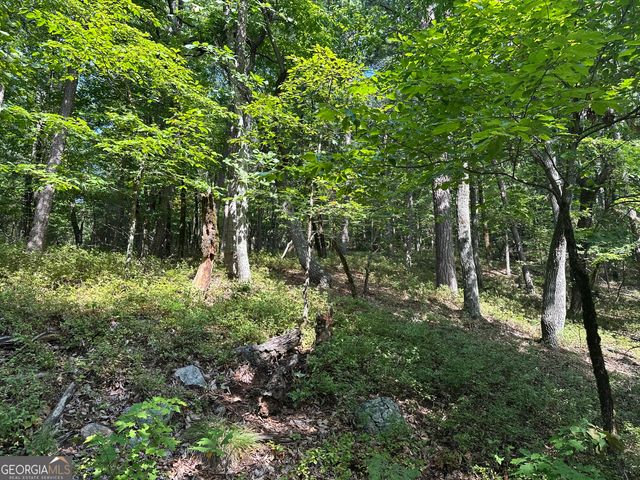 0 Mountain Sweet, Clarkesville, GA 30523