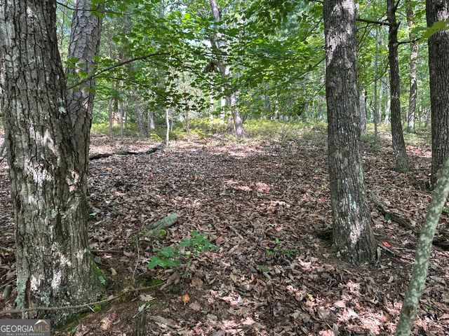 0 Mountain Sweet, Clarkesville, GA 30523