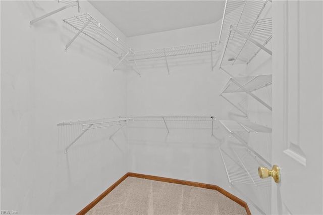 805 Union Forge LN, Chesapeake, VA 23322
