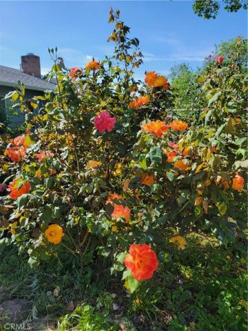 149 Acacia, Oroville, CA 95966