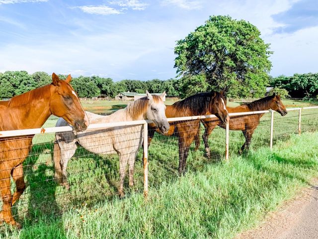 4241 Cheyenne Trail, Cross Roads, TX 76227