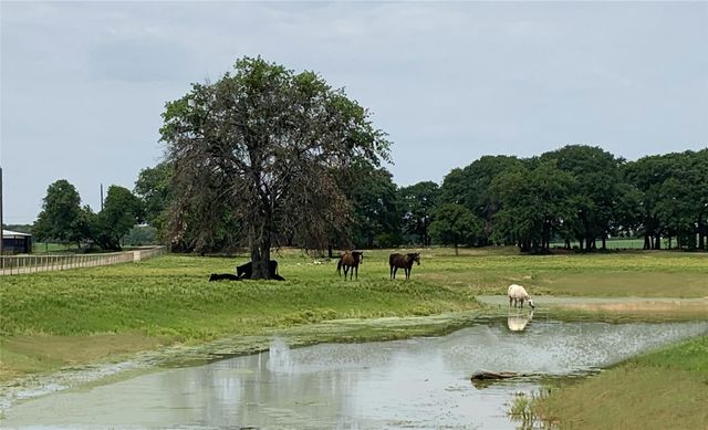 4241 Cheyenne Trail, Cross Roads, TX 76227