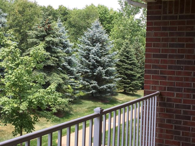 20209 Chesapeake Circle, Commerce Twp, MI 48390