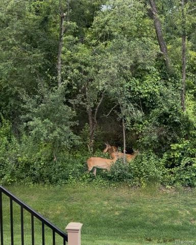 4795 Bingham Road, Canton, MI 48188
