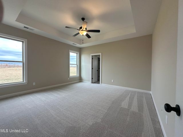 3128 Leatherman Drive, Lake Cormorant, MS 38641