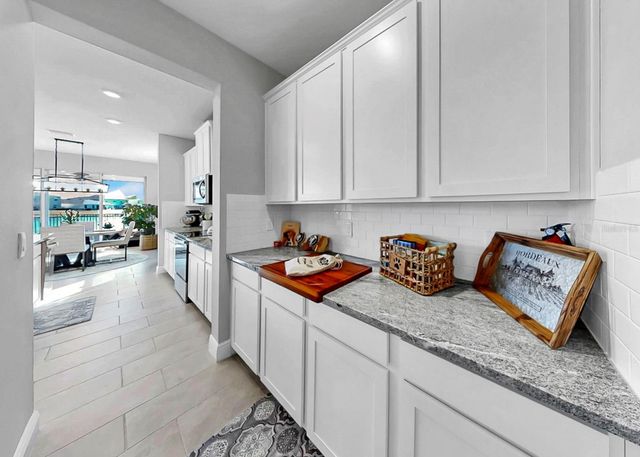 166 BRIGHT IBIS AVENUE, Apollo Beach, FL 33572