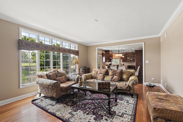 17320 Elk Drive, Orland Park, IL 60467