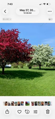 4235 Buzzell Road, Gladwin, MI 48624
