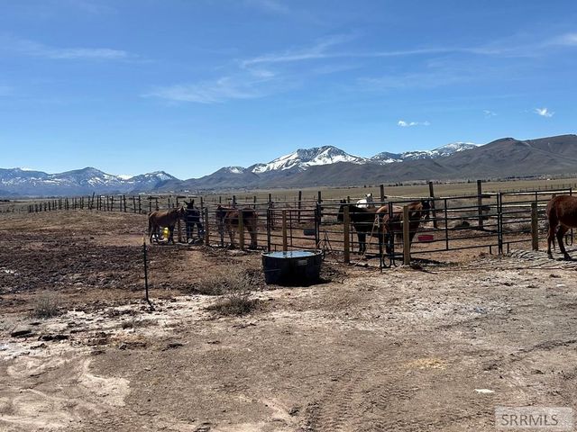 699 Stephens Road, Challis, ID 83226