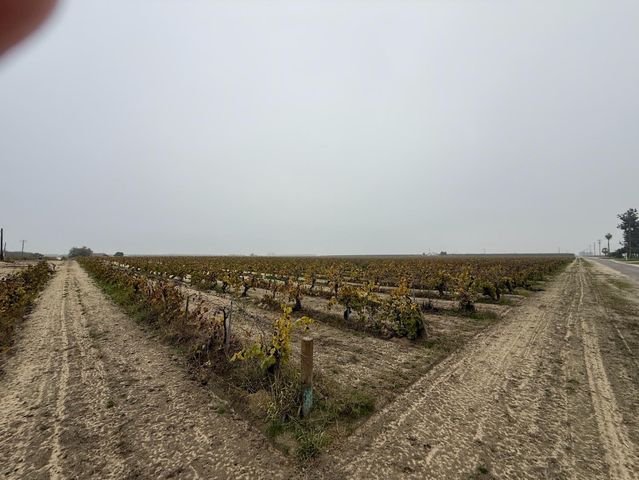 13242 S Willow Ave, Selma, CA 93662