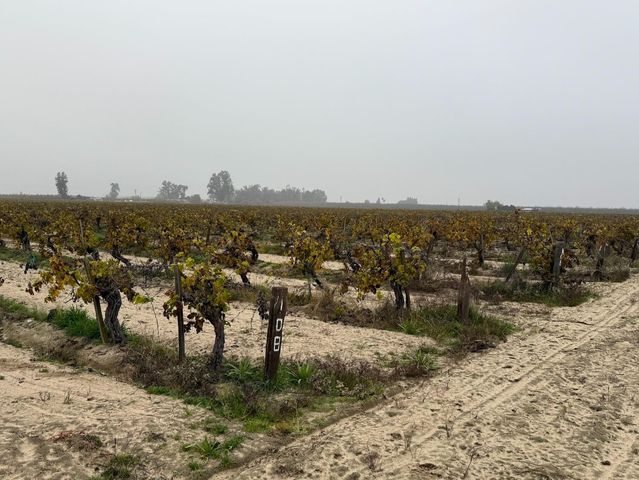 13242 S Willow Ave, Selma, CA 93662