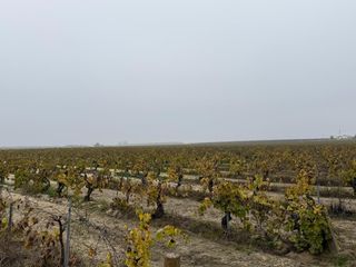 13242 S Willow Ave, Selma, CA 93662