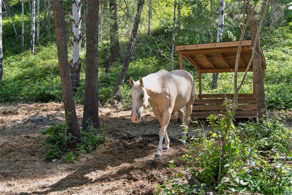Image 44 of property listing at 245 Tally Lake Road, Whitefish, MT 59937
