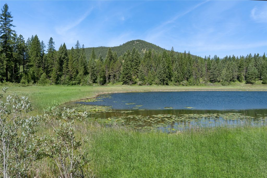 Image 50 of property listing at 245 Tally Lake Road, Whitefish, MT 59937