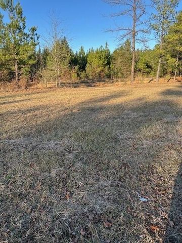 446 Earl Perkins Rd, Pitkin, LA 70656