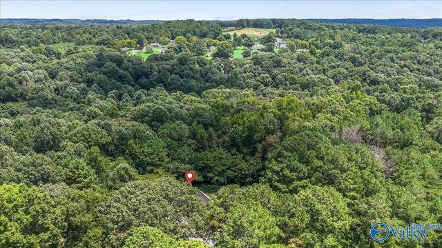 5280 County Road 1141, Vinemont, AL 35179