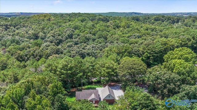 5280 County Road 1141, Vinemont, AL 35179