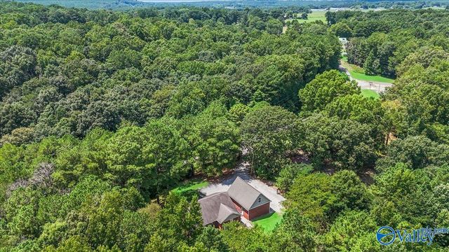 5280 County Road 1141, Vinemont, AL 35179