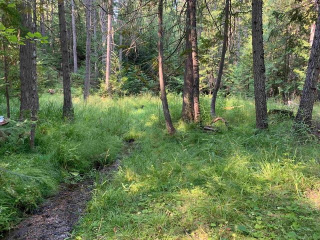 2423 L Quinns Meadow Rd, Colville, WA 99114